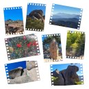 합천군가회면대기보건진료소 | 우리나라의 명산을 찾아서 147(20년~) / 합천 감암산의 명품 바위군락길 즐거운 탐방길