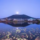 목장풍경민박 이미지