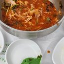 바다세꼬시 회.초밥 이미지