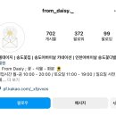 프롬데이지 이미지