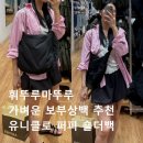 더불백 | 휘뚜루마뚜루 가벼운 보부상백 추천! 유니클로 퍼피 숄더백