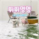 멍멍테라스 이미지