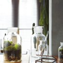 유리정원 이미지