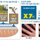 아토피의 최강자 멜라루카 대용량 로션-21,000 이미지