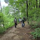 금빛환경 이미지