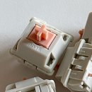 바로몰 이미지