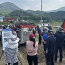 합천양파 이미지