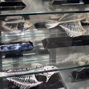 벼랑소랑 | 국립현대미술관 서울] 데이미언 허스트 전시 관람 후기