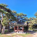 해파랑길 41코스 이미지