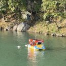 뿌리공원 | 대전의 후쿠오카 오호리공원? 대전 가볼만한 곳 [뿌리공원] 오리배, 주차, 입장료, 애견동반 후기