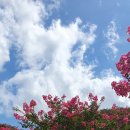 동방농장 이미지