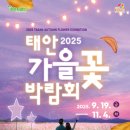 아띠네이처