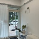 아쿠 | 일산 정발산 밤리단길 아쿠브로우 노글루 속눈썹펌 후기