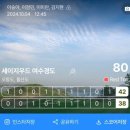 세이지우드cc 여수경도, 오동도/돌산도/금오도 라운딩 후기