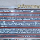 가족헤어컷&염색과 홈헤어케어법 | 미금역 미용실 헤어다이아 분당미금스타점 문별 레이어드컷 볼륨매직