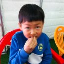 제철태권도 이미지