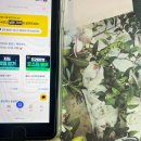 인스타그램으로 시작하는 SNS마케팅 | 인스타그램 상위노출 마케팅24로 실제 효과 본 후기