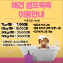 삼육사로10 | 동두천 애견카페 추천, 캠핑 감성 바베큐식당 소르피아97 후기