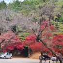 금나무공인중개사사무소 이미지