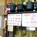 황금손 해물칼국수 무의점