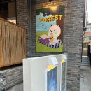 덤디자인서울 이미지