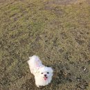 울산 쉼표동물병원 이미지