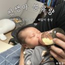 생아 수유량 &amp; 수유텀 정리 분수토 대처까지 완분맘 후기