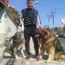강토 이미지