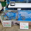 마린보이수산 이미지