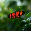 라반필라테스 - 창원시 성산구 삼정자로43번길 2 | 라반필라테스