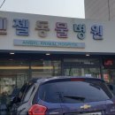 엔젤동물병원 이미지