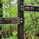신천교사거리(신천교) 이미지