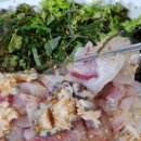 본동물회 이미지