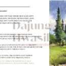 기초 수채화 기법부터 작품까지 이미지