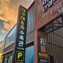 아쿠아앤쥬 | 광주 물고기 도마뱀 거북이 아쿠아앤쥬 수족관
