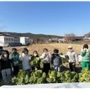 아이행복어린이집 이미지