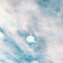 페리테일 이미지