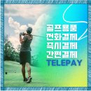 수골프용품 이미지