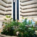 흥기1리 무지개숲 앞 | 파르나스 민트 포레스트 디퓨저, 힐링이 필요할 때 숲 향기로 쉬어가는 하루