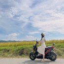 [경주 커플 여행] 포항-경주 가는 법, 착한보쌈, 보문콜로세움, 황룡사지 코스모스 다녀왔어요