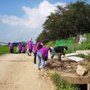 본오로1길 이미지