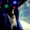 대구역(지하철 1호선) | [대구 아쿠아리움] 6개월 아기랑 다녀온 후기 &amp; 정보