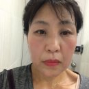 청소하는호랑이 이미지