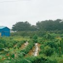 에덴농장2 이미지