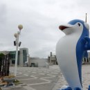 국립등대박물관 이미지