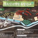 금오산 야영장 경북IT뉴스