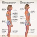 더바른 바디테라피 이미지