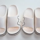 솜라이 이미지