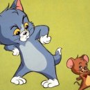 톰과제리 이미지