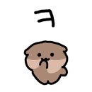 모모 애견미용 이미지